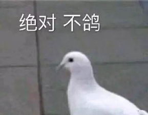 说好的冷空气又鸽了佛山人喜迎加长版夏天...