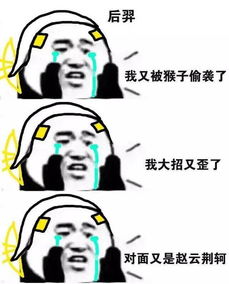 搜狐公众平台王者荣耀日常游戏经常说的话,我已经中了好多枪了...