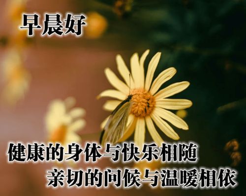 今日微信适合群发早上好图片加祝福语星期五早上好表情带问候语