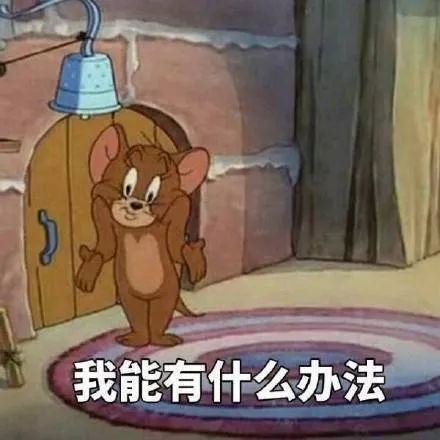 BOOM!表情包猫和老鼠