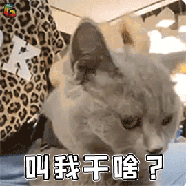 刚睡醒的表情包 gif表情包