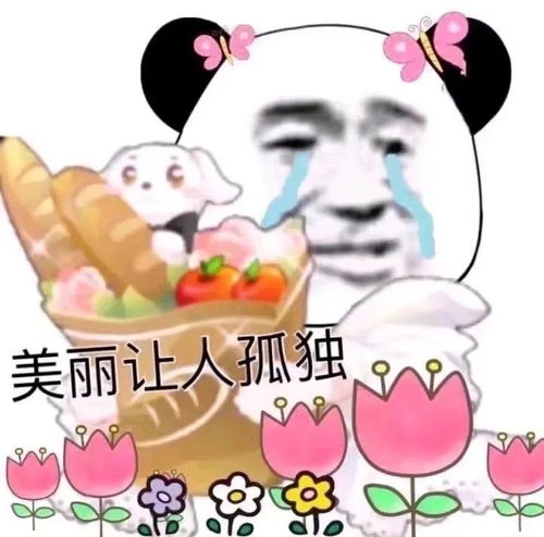 表情包小子,不要引发图战