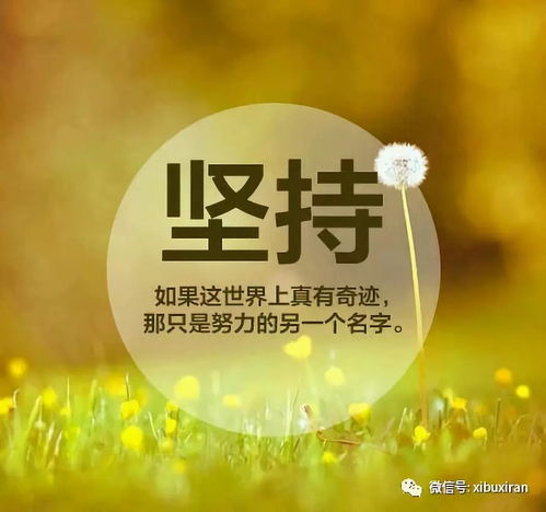困境即是赐予