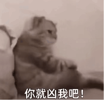 表情包宝贝你醒啦