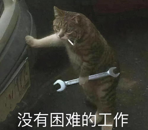 加油花艺打工人