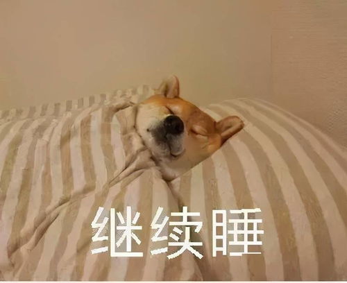 每个人每天都在做的事情,是怎么做到大家都统一的