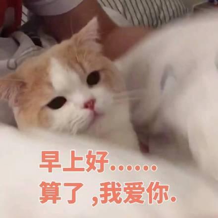 搞笑段子我连男朋友都没有,哪来的老公