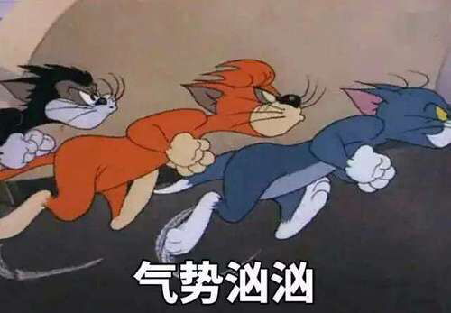 拔腿毛表情包猫和老鼠