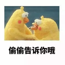 达菲熊表情包共性