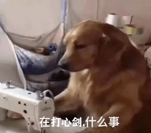 沉浸式团灭体验天刀话本测试卷开考啦,快来看看你能拿几分