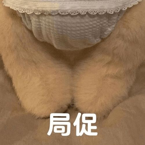 沉迷乔家儿女的我决定暂时放弃绿藤市精神市民身份