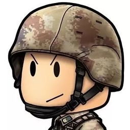 纠察兵表情包