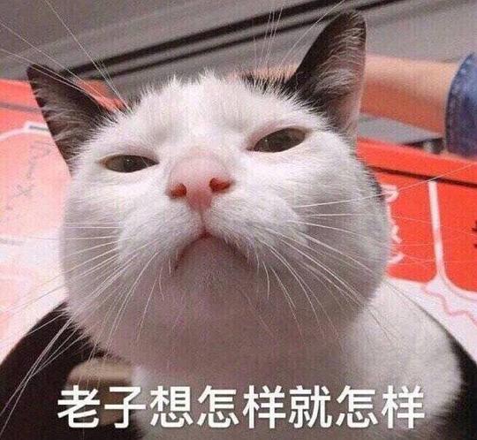 狮的相册一个表情biao相册