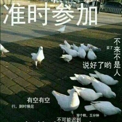快速看完2017年lck春季赛w8d3