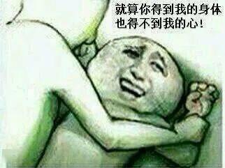愚蠢的人类表情包主播