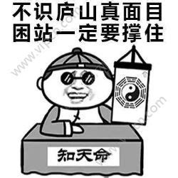 一拍即合表情包王者荣耀