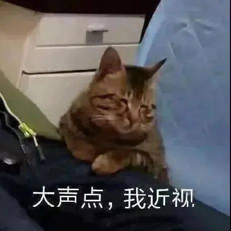 抖音热门表情包