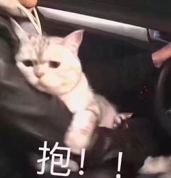 二战雅思6.5,小哥哥逆风翻盘分享四科备考经验
