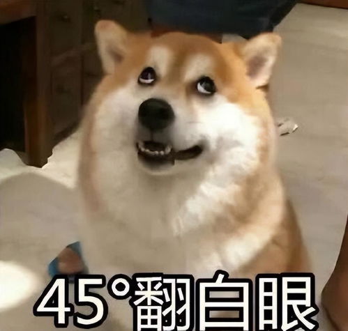 说你呢图片表情包头像
