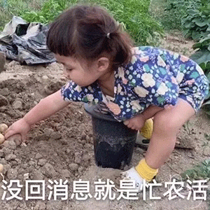 可爱沙雕表情包你的小宝贝突然出现