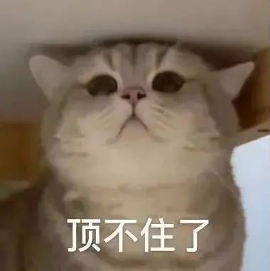 表情包都给我燃起来了