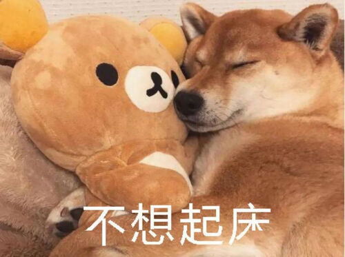 听说这是当代大学生的现状,你中招了吗
