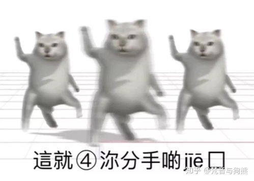 对即将要开学的大学生有哪些好的建议