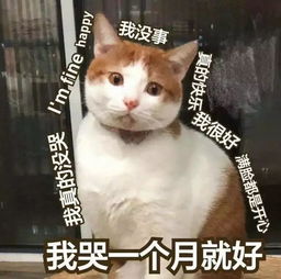 早上好表情包动态图片大全搞笑的