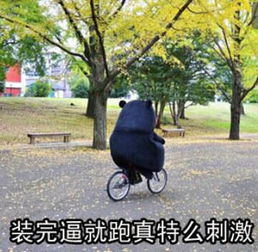 夕阳下的奔跑表情包求带走