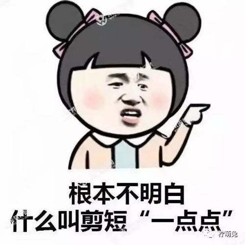 去理发店剪了个新发型回来之后,竟然被全体室友嘲笑
