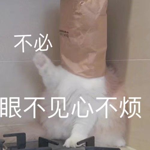 一组可爱的猫猫表情包,发给你家臭居居