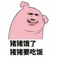 懒猪起床了表情包图片表情包