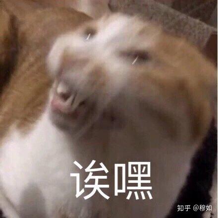 有没有和小时的爱殇一样感觉令人悲怆苍凉的歌推荐