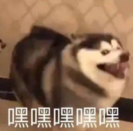 本周要闻因上班太无聊起诉公司东莞被纳入大深圳范围