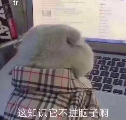 实名羡慕看完老年大学的精彩课程安排,网友疯狂期盼退休