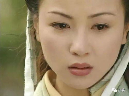 两次错过赵敏,还辞演了阿珂,大美人也太倒霉了点......