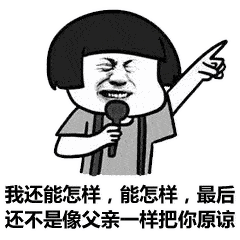 搞笑的表情包文案动态生气