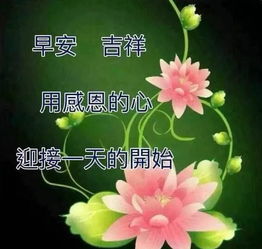 特别漂亮清晨早安表情动态图片,暖心的早上好问候祝福语