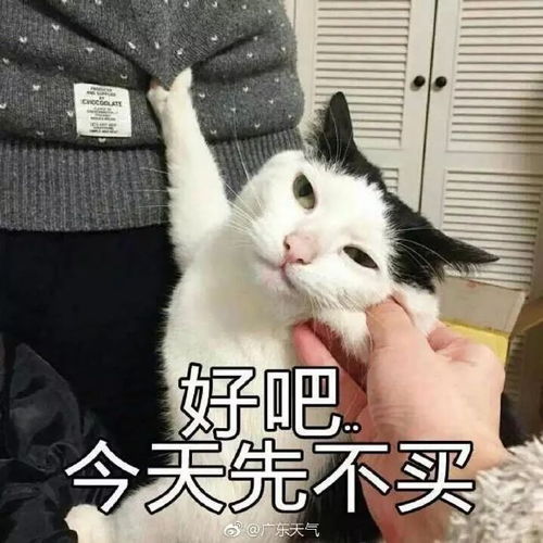 微信搞笑真人表情包起伏