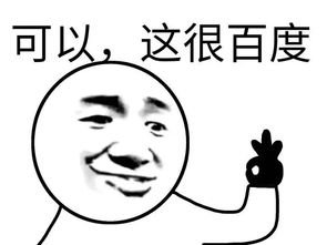 可以,这很可以