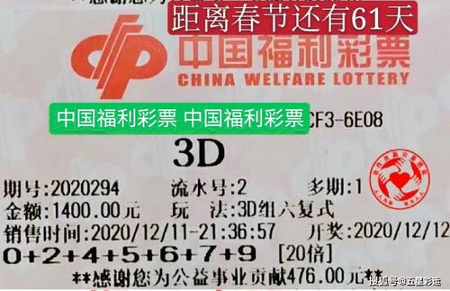 福彩3d294期,排列三293期晒票,彩民欣赏也是一种享受