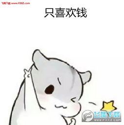 小仓鼠以前年纪小喜欢装文艺表情图片完整版下载以前年纪小喜欢装文艺小仓鼠表情包高清完整版下载飞翔下载