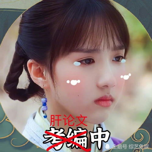志不在网剧宣传期主角肝论文,8.4分小仵作太妙了