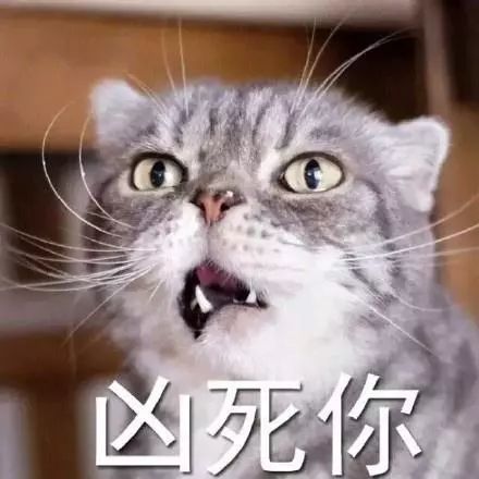新神雕侠侣的海报p图过度甲方得罪了很多人
