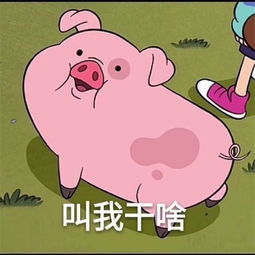 boom猪猪表情包第二弹