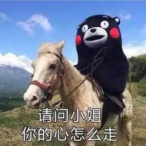 25条适合做个性签名的可爱句子日有所吃,夜有所胖