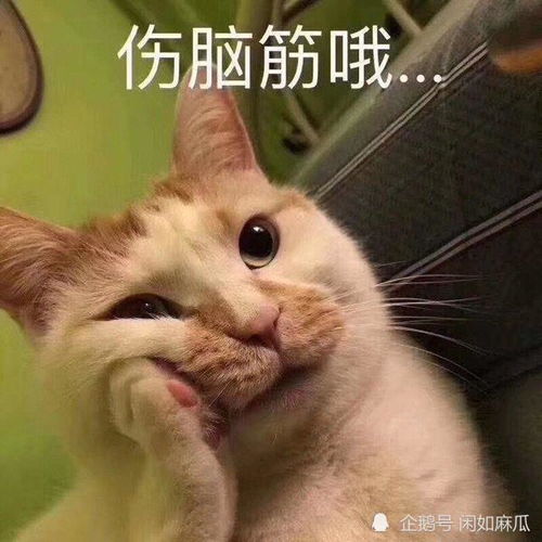 k40游戏增强版一台不太适合玩游戏的游戏手机