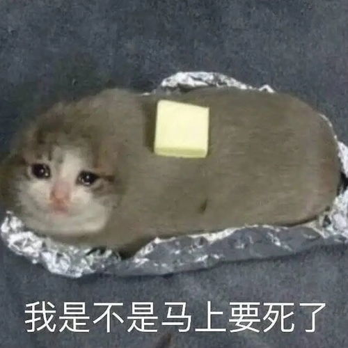 慎入,肌肉猛男和大鸟