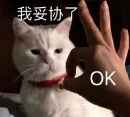 面无表情的图片表情包害羞