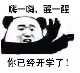 斗图表情包你已经开学了
